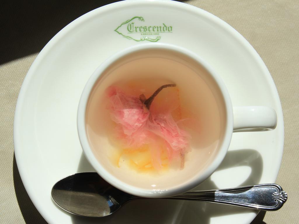 Fujikawaguchiko Crescendo Hotel Екстериор снимка